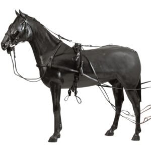 Finimento da trotto in cuoio per cavallo