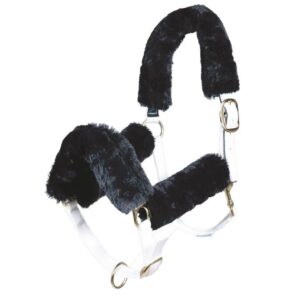 Set di 4 pz Guscio per Cavezza