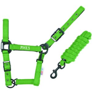 Cavezza Pool’s in Nylon e Neoprene con Lunghina Verde Fluo