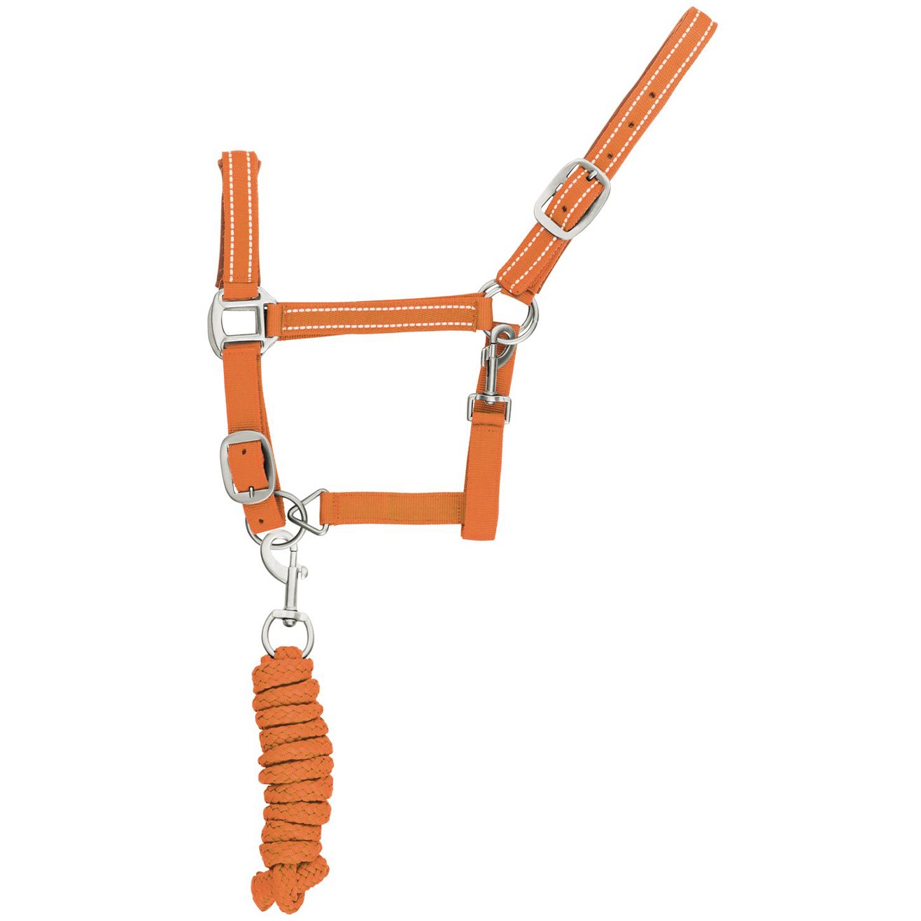 Cavezza Nylon Reflective con Lunghina - immagine 3