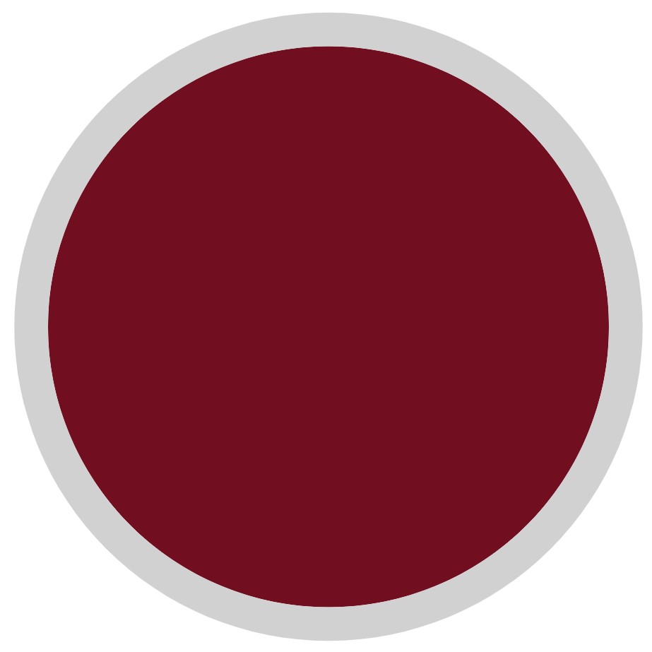 Cavezza Nylon Reflective con Lunghina - immagine 11