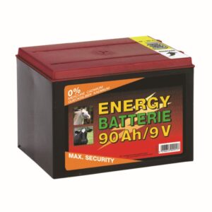 Batteria 10000 ore per elettropascolo